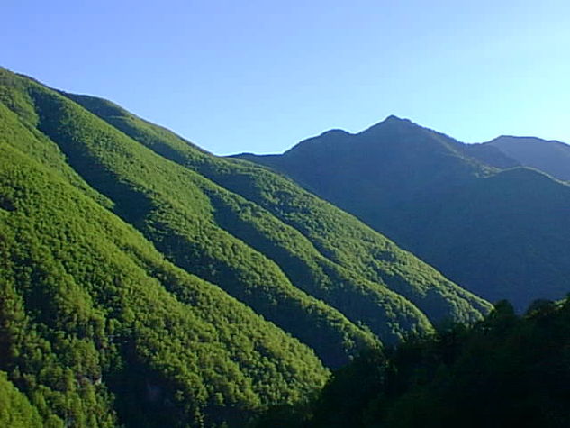Aussicht