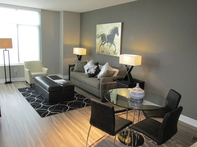 Fully-Furnished Living Room with Pullout Sleeper-Sofa