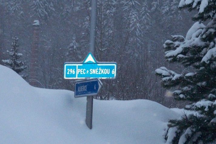 AreaWinter1KM