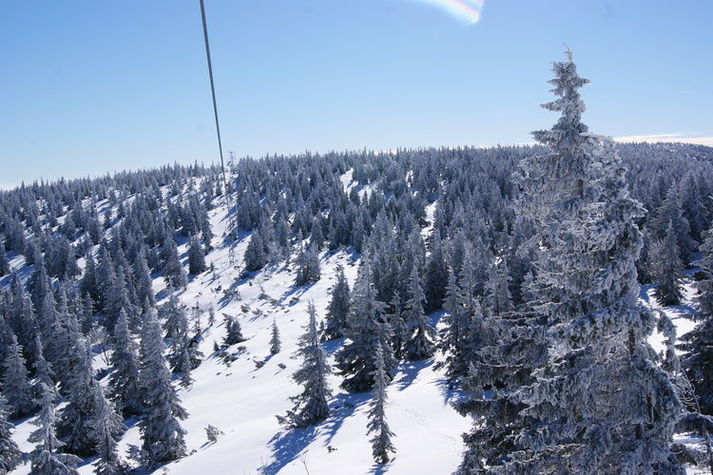 AreaWinter5KM