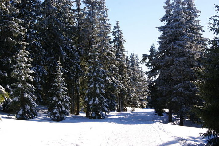 AreaWinter5KM