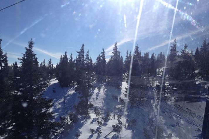 AreaWinter20KM