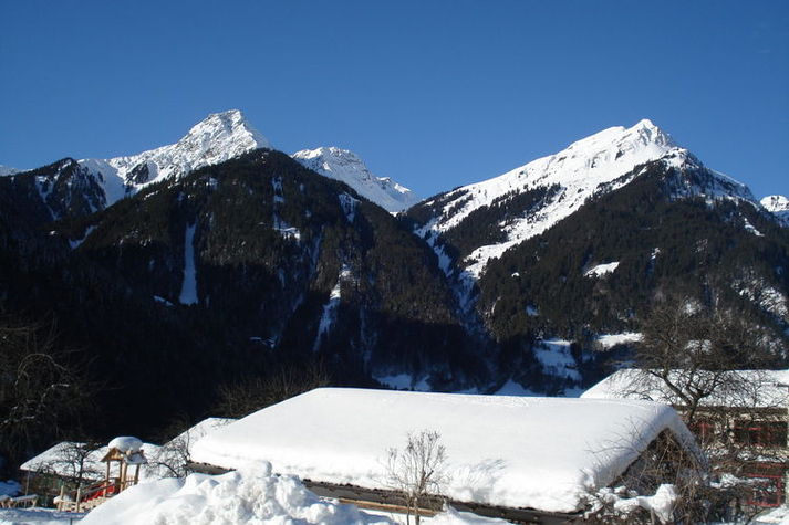 AreaWinter1KM