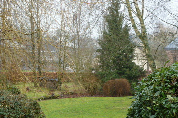 GardenWinter