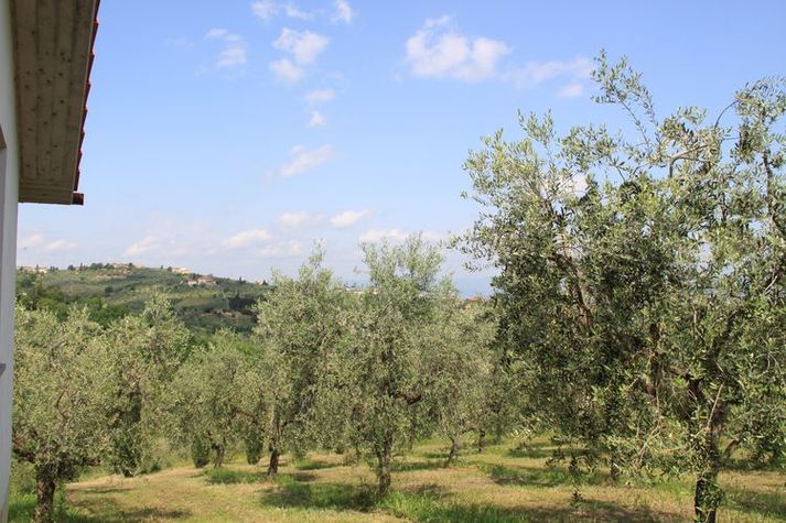 ViewSummer