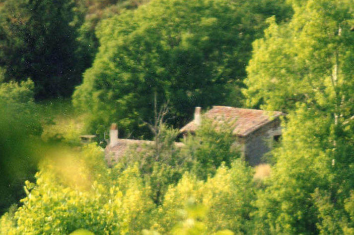 ExteriorSummer