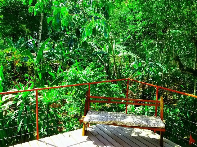 View to Wildlife and tropical vegetation