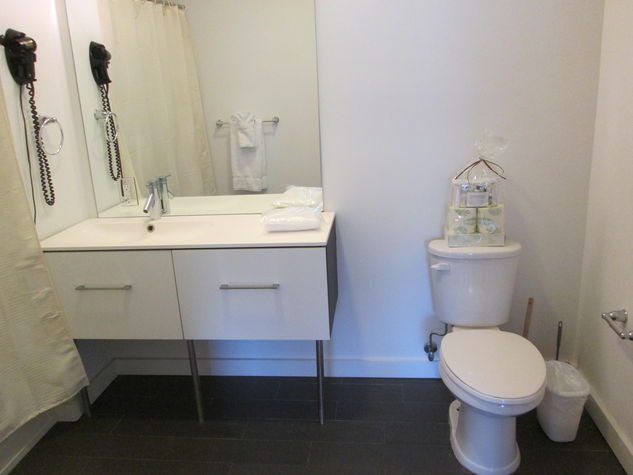 Large bathroom with shower/tub combination; towels and toiletry samples provided