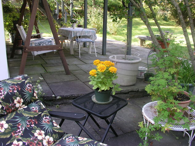 Relax in the garden while humming birds zoom by.