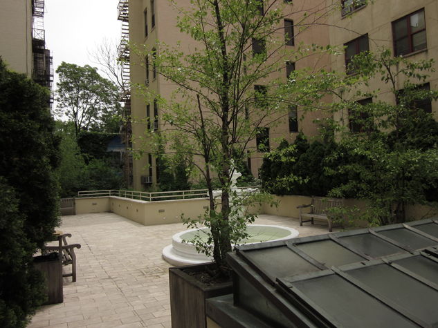 Lovely Courtyard between both buildings in the complex, my apartment is faces this, so it's VERY QUIET with very little street noise!