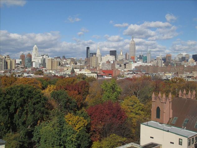 Lovely view from Roof Deck of all of NYC skyline as we're the tallest building in the area!