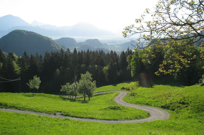 ViewSummer