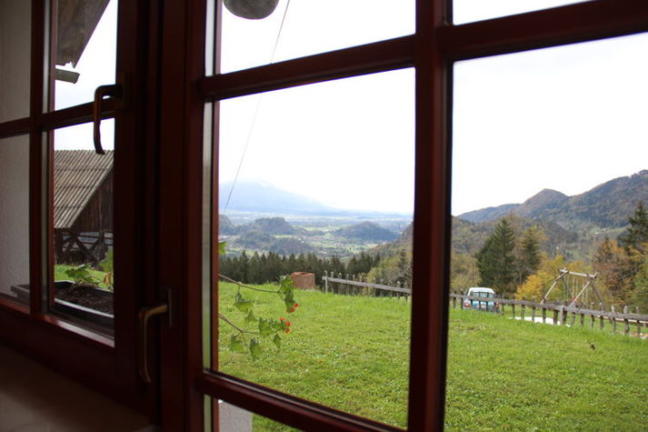 ViewSummer