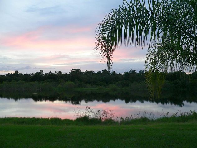 our backyard