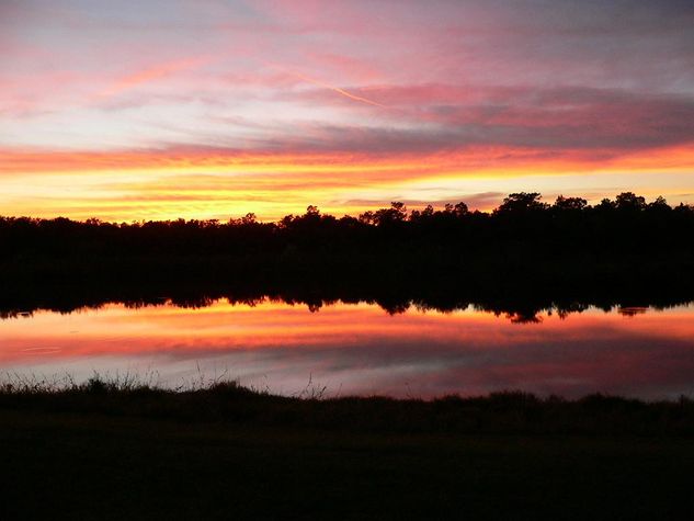 our backyard