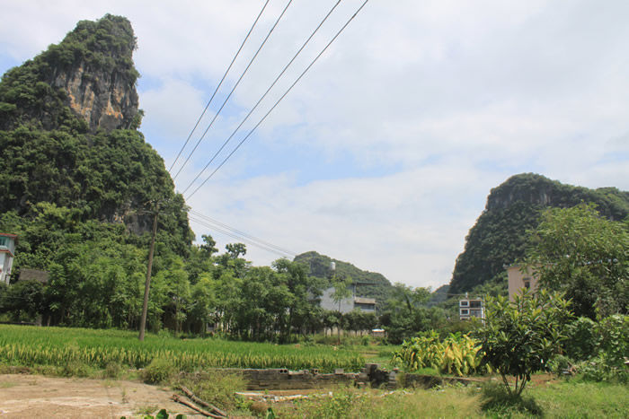 The surrounding environment
