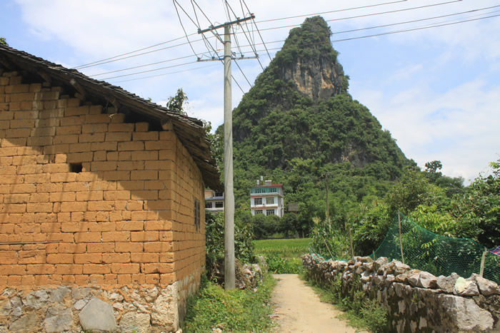 The surrounding environment