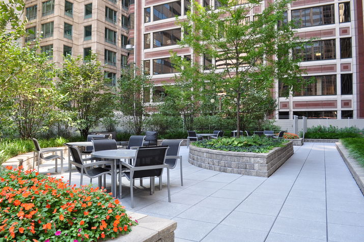 Outdoor Grilling, Firepit and Pool