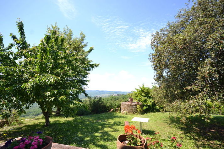 GardenSummer