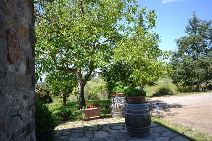 GardenSummer