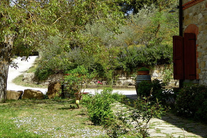 GardenSummer