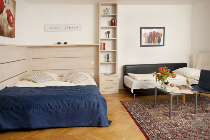 Living/Sleepingroom
