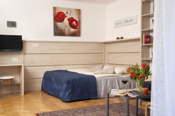 Living/Sleepingroom