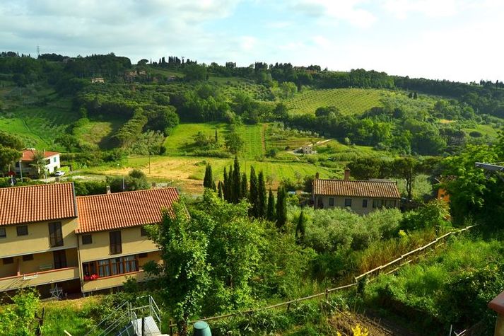 ViewSummer