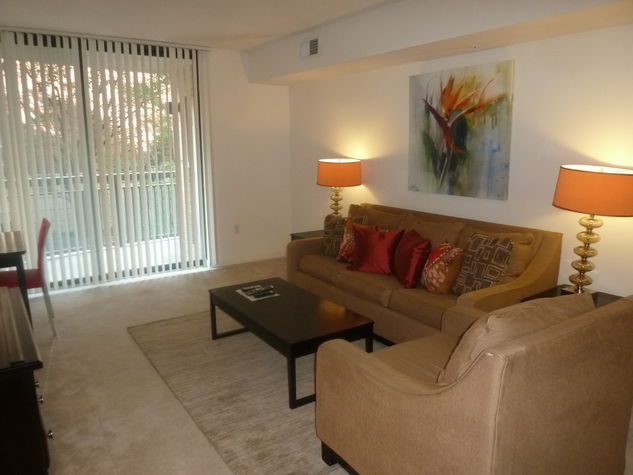 Fully-Furnished Living Room with Pullout Sleeper-Sofa