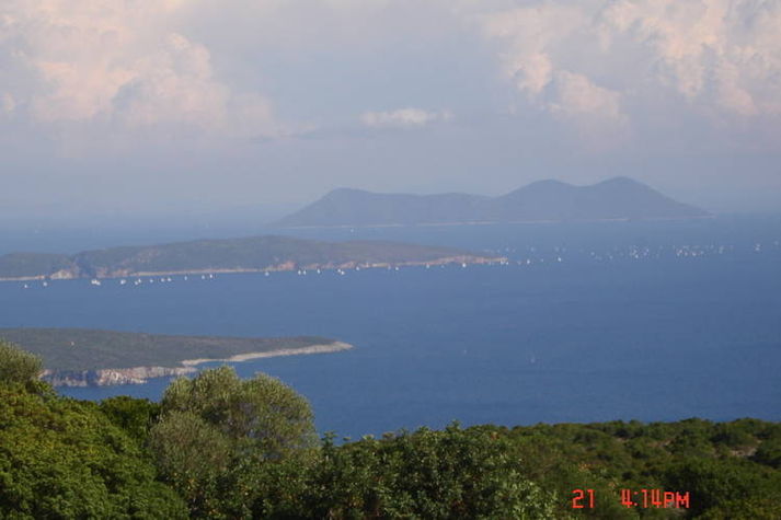 ViewSummer