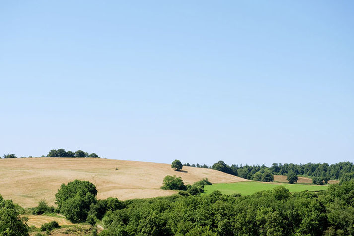 ViewSummer