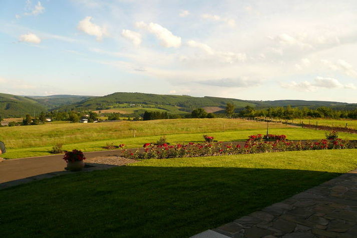 ViewSummer
