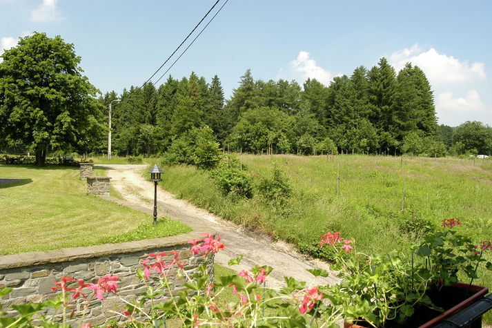 ViewSummer