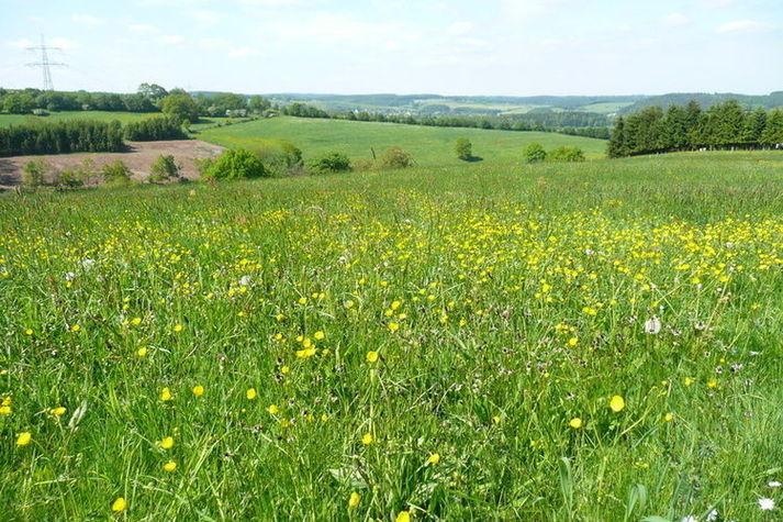 ExteriorSummer