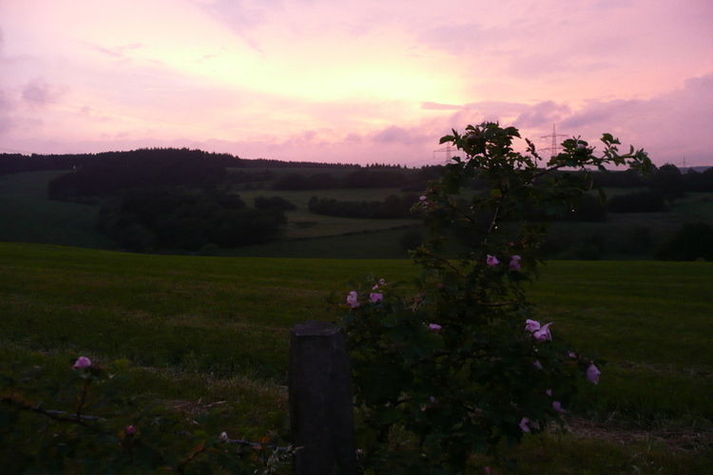 ExteriorSummer