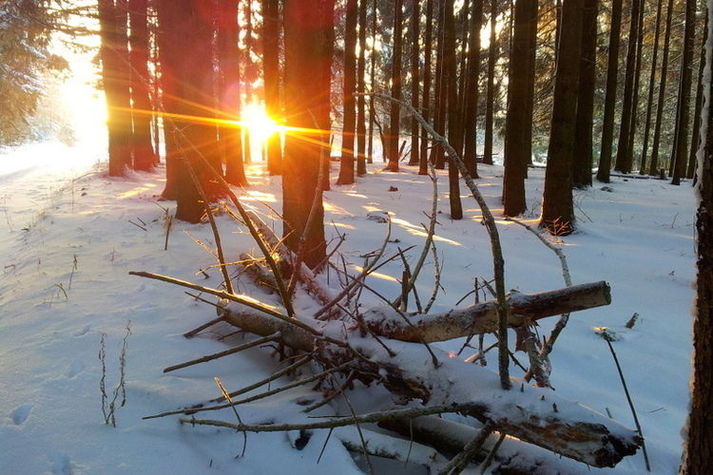 ExteriorWinter