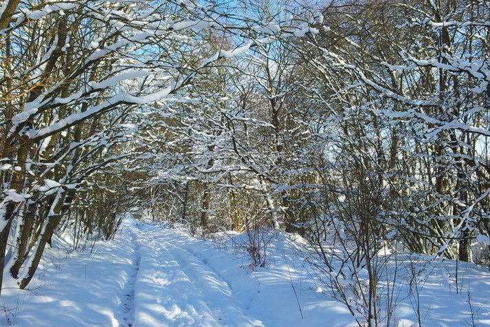 ExteriorWinter