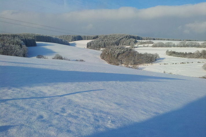 GardenWinter