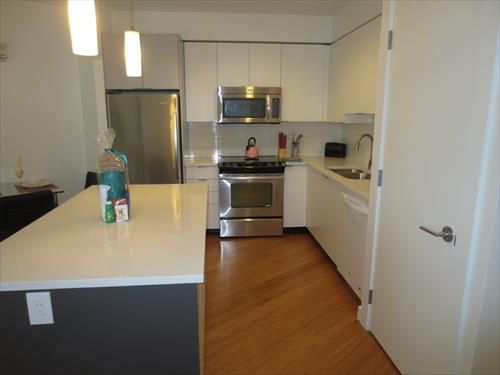 Large open kitchen with island