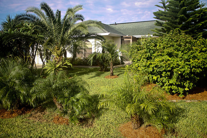 View of the front of the house from the street