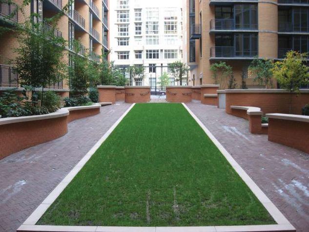 Beautiful landscaped courtyard