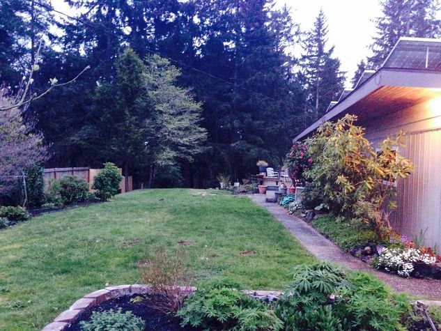 Side of fenced yard
