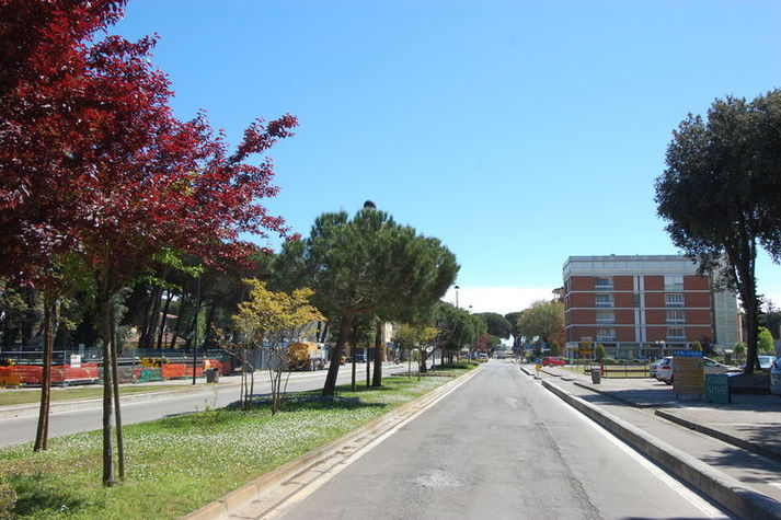AreaSummer1KM