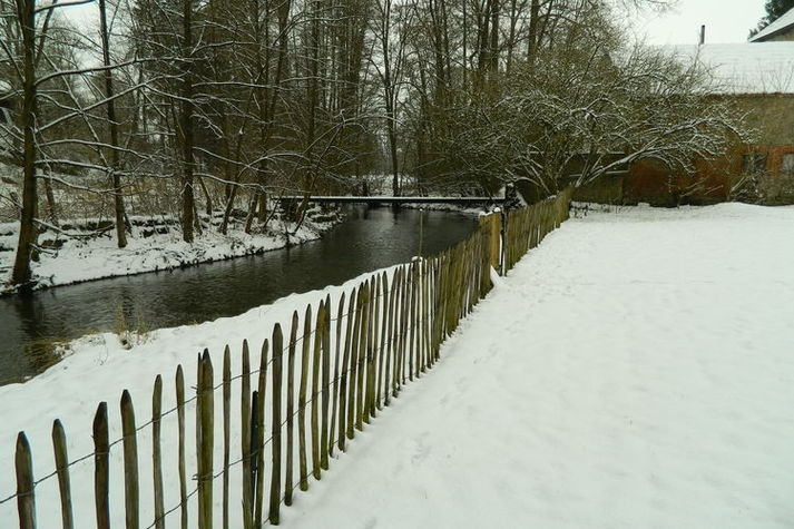 GardenWinter