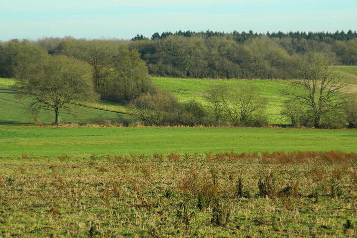 AreaWinter1KM
