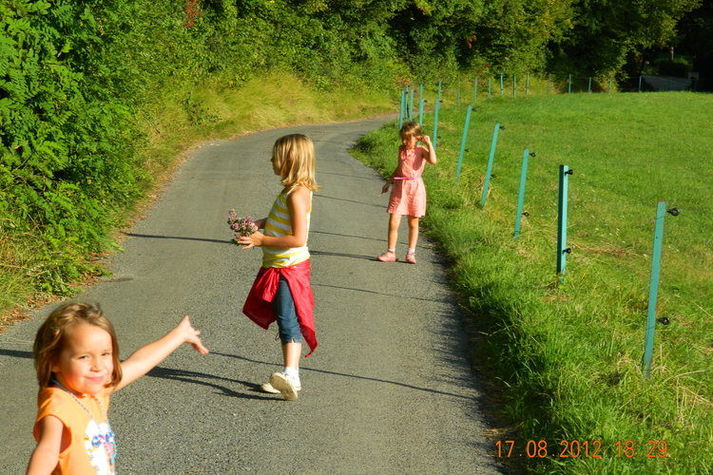 AreaSummer1KM