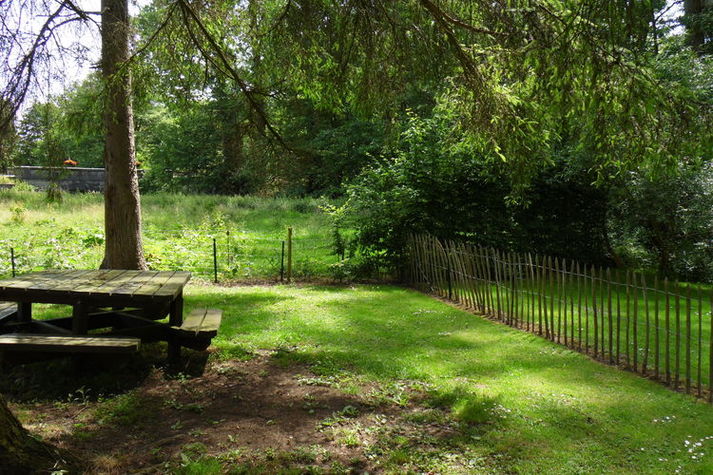 GardenSummer