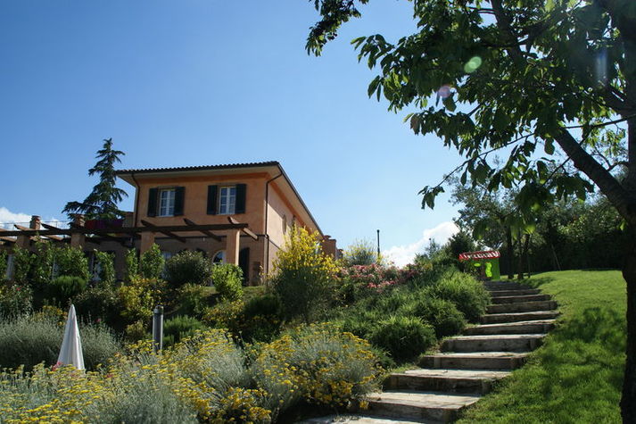 GardenSummer