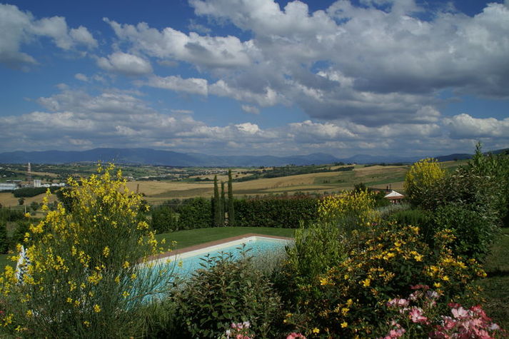 ViewSummer
