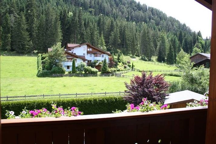 ViewSummer